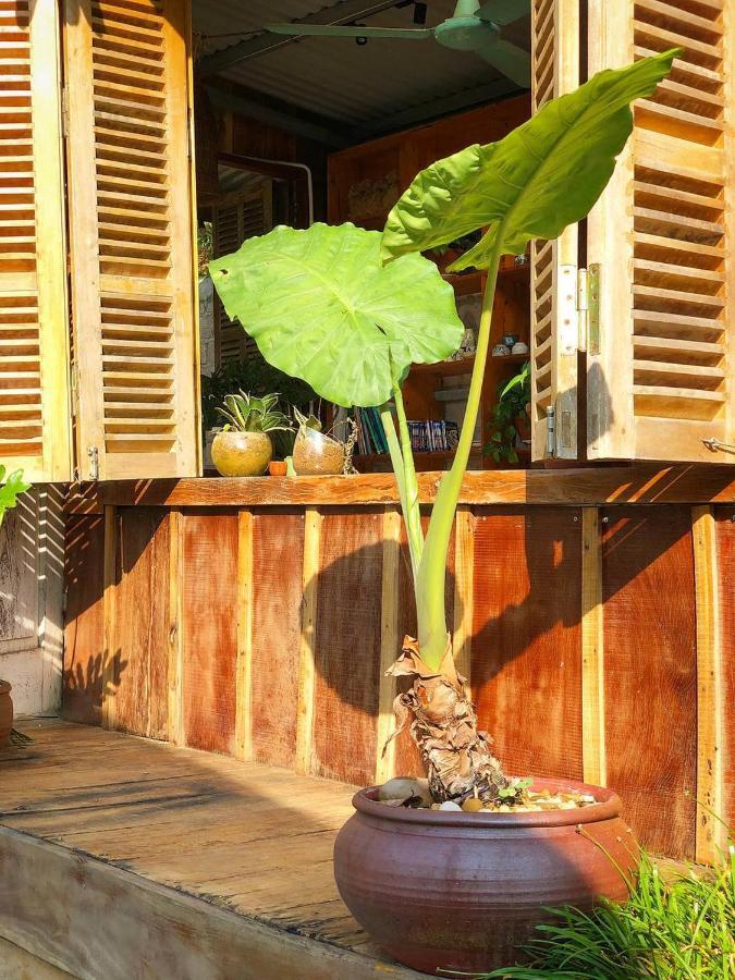 Thenh Thang Home & Cafe モクチャウ エクステリア 写真